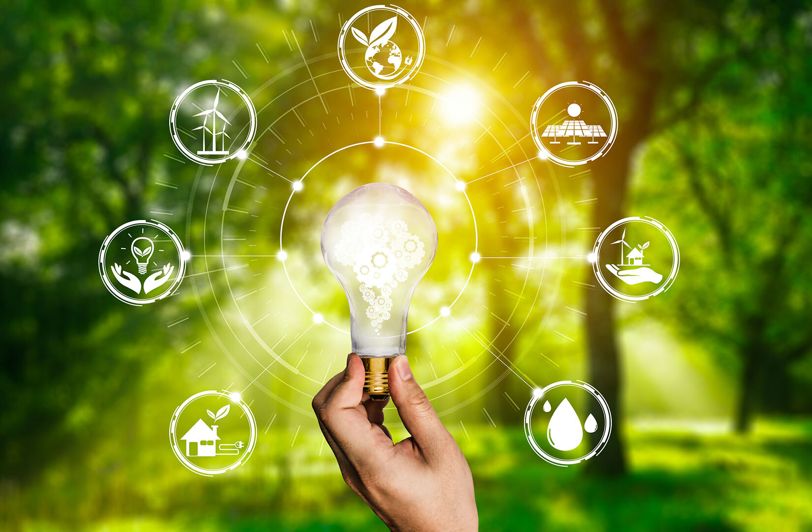 G20 Energias Renováveis